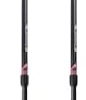 Mountainsmith Andesite Trekking Pole Pair – Carbon